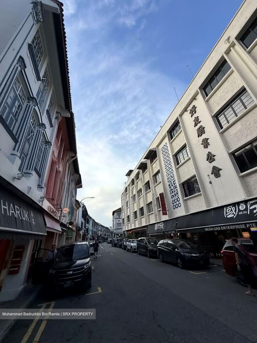 Bukit Pasoh Conservation Area (D2), Shop House #578652491